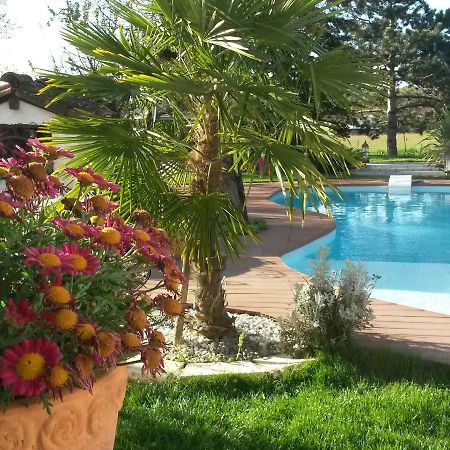 Le Clos De Saint Amour Montauban Exteriér fotografie